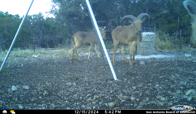 Listing photo id 54 for Tbd Mailtrail Rd