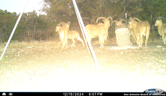 Listing photo id 55 for Tbd Mailtrail Rd