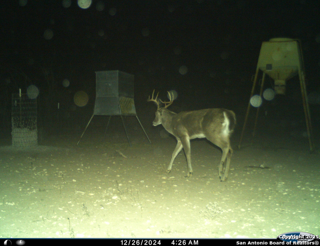 Listing photo id 58 for Tbd Mailtrail Rd