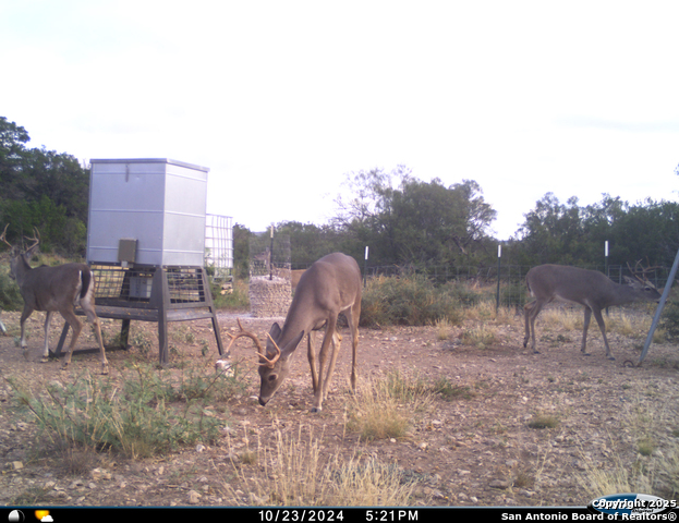 Listing photo id 59 for Tbd Mailtrail Rd