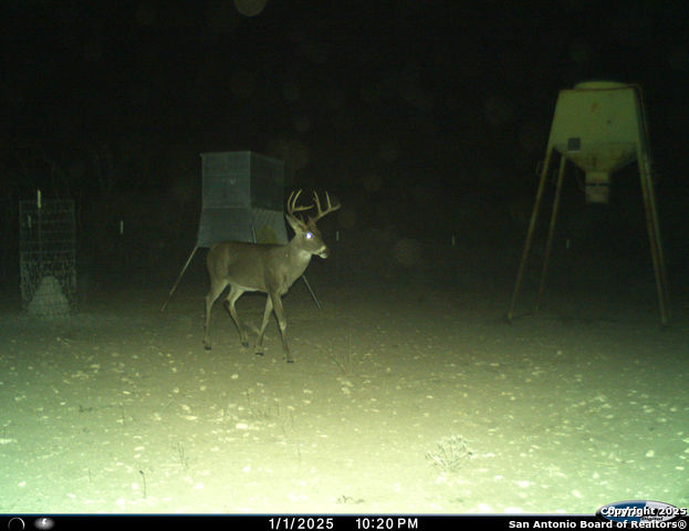 Listing photo id 60 for Tbd Mailtrail Rd