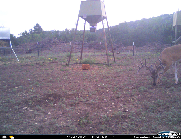 Listing photo id 62 for Tbd Mailtrail Rd