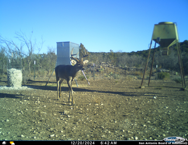 Listing photo id 63 for Tbd Mailtrail Rd