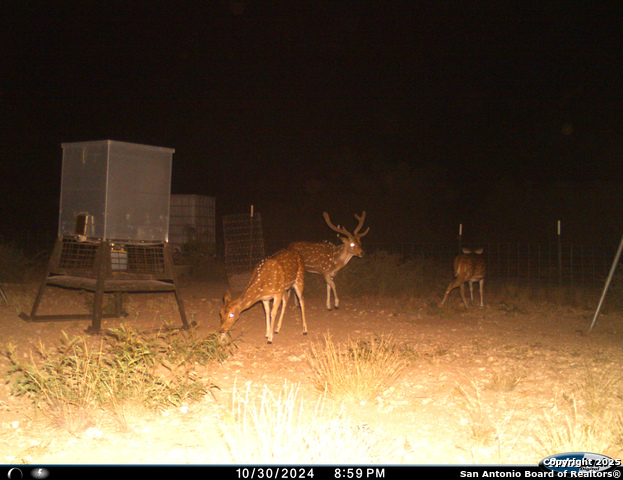 Listing photo id 66 for Tbd Mailtrail Rd