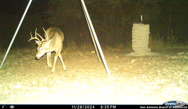 Listing photo id 67 for Tbd Mailtrail Rd