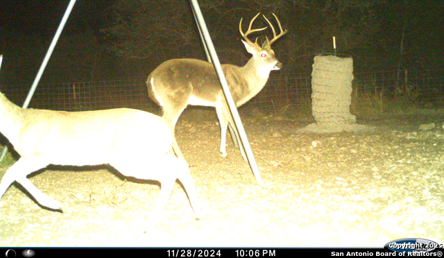 Listing photo id 68 for Tbd Mailtrail Rd
