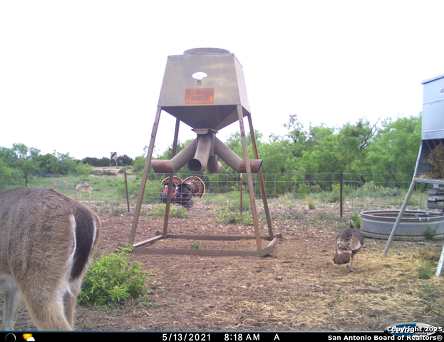 Listing photo id 69 for Tbd Mailtrail Rd