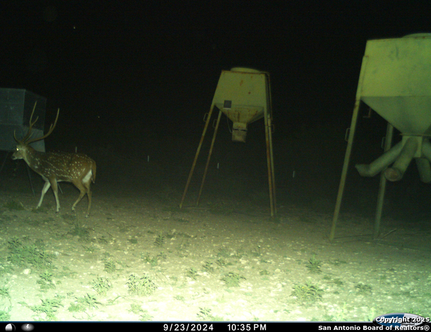 Listing photo id 70 for Tbd Mailtrail Rd