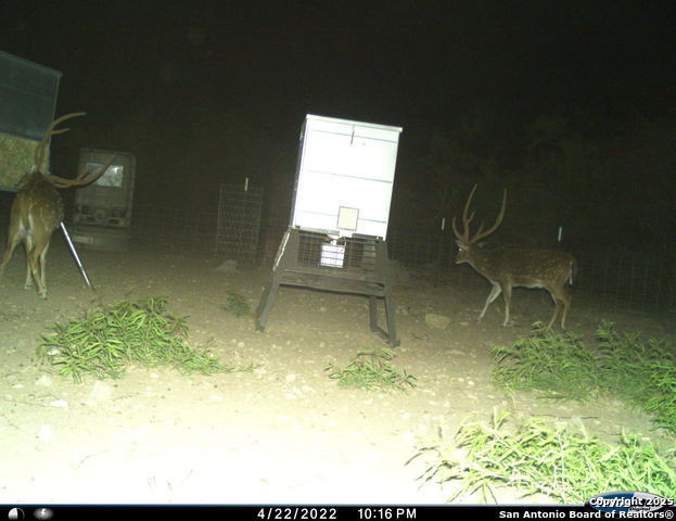 Listing photo id 72 for Tbd Mailtrail Rd