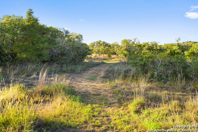 Image 18 of 40 For 370 Gray Wolf