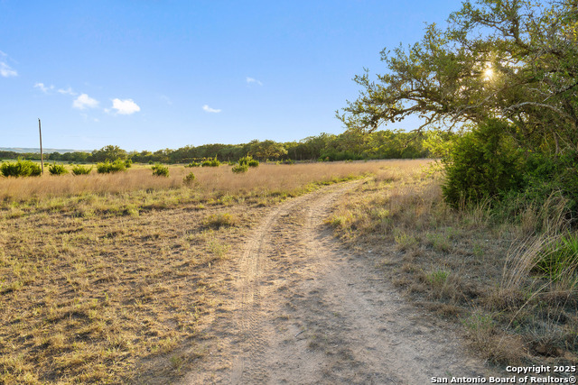 Image 19 of 40 For 370 Gray Wolf