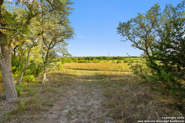 Image 20 of 40 For 370 Gray Wolf