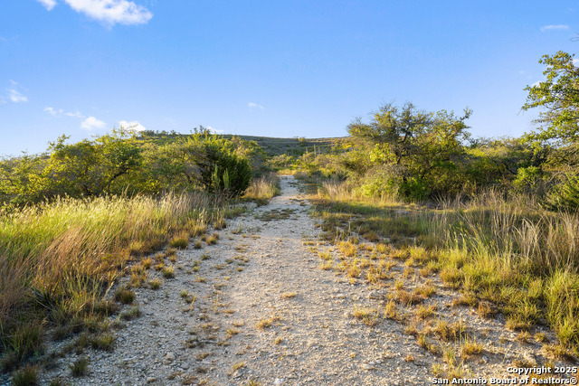 Image 23 of 40 For 370 Gray Wolf