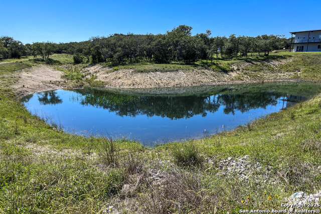 Image 25 of 40 For 370 Gray Wolf