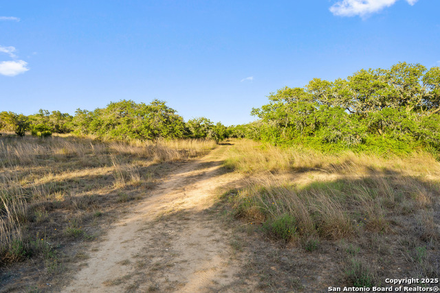 Image 26 of 40 For 370 Gray Wolf