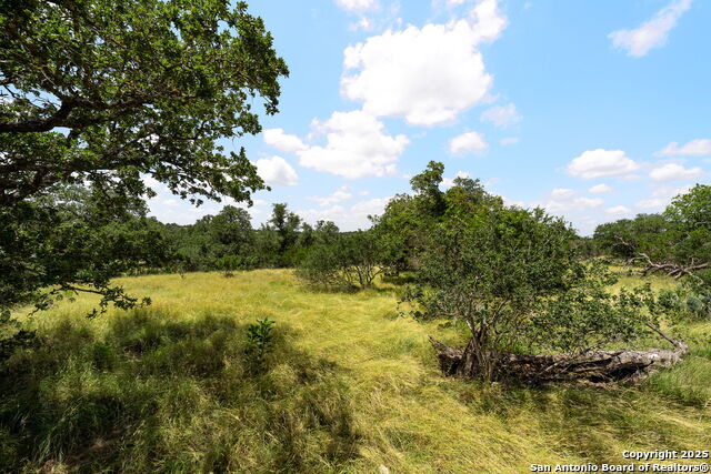 Image 10 of 13 For 211 Spring Rd