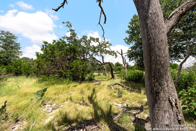 Image 12 of 13 For 211 Spring Rd