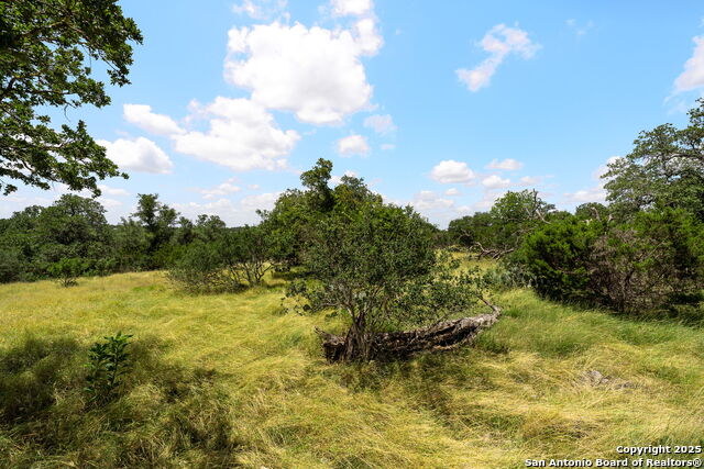 Image 4 of 13 For 211 Spring Rd