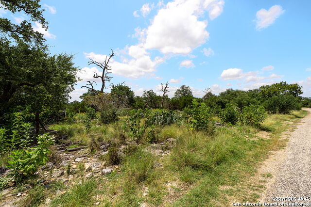 Image 5 of 13 For 211 Spring Rd