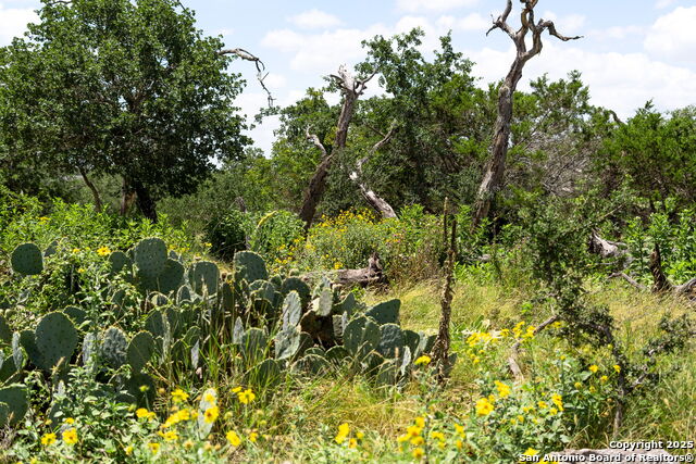 Image 6 of 13 For 211 Spring Rd