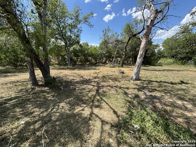 Listing photo id 1 for 367 Bundy