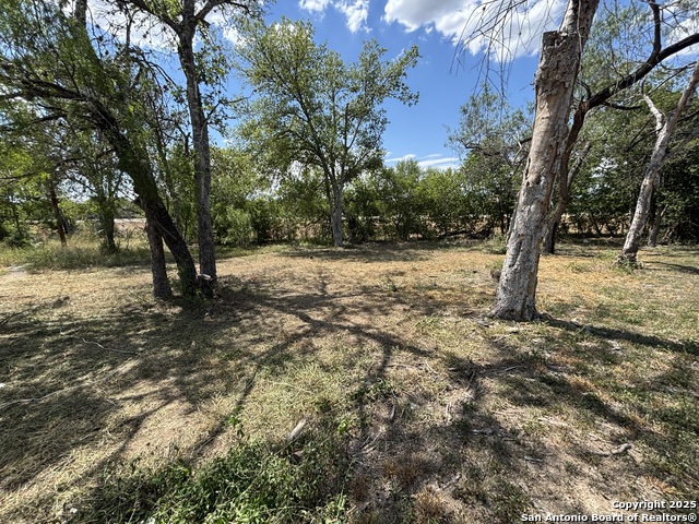 Listing photo id 2 for 367 Bundy