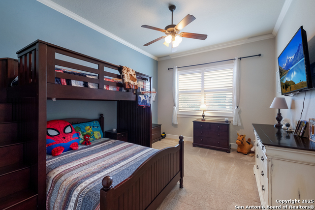 Image 17 of 23 For 200 Menger  