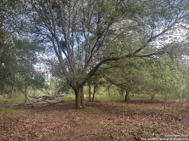 Image 6 of 10 For 5440 Tabberer