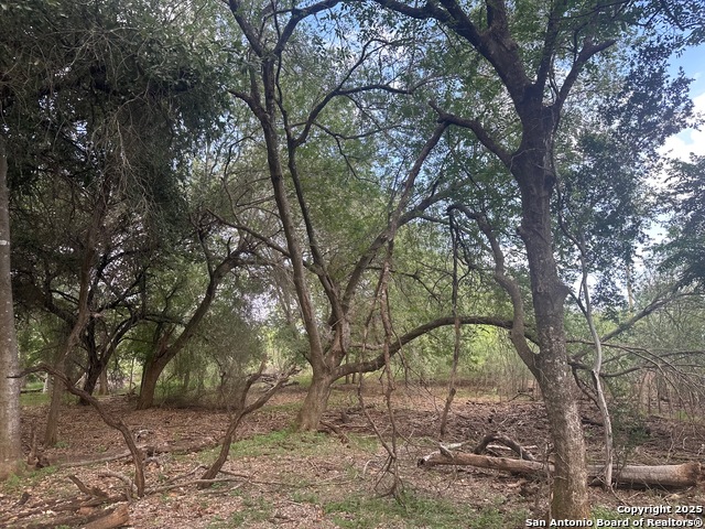 Image 7 of 10 For 5440 Tabberer