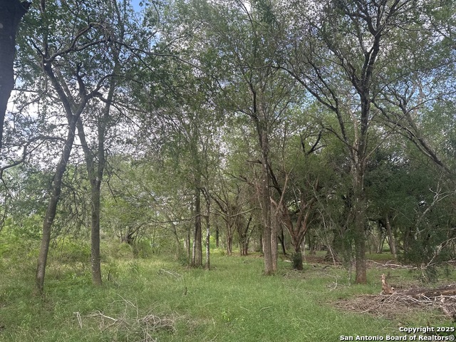 Image 8 of 10 For 5440 Tabberer