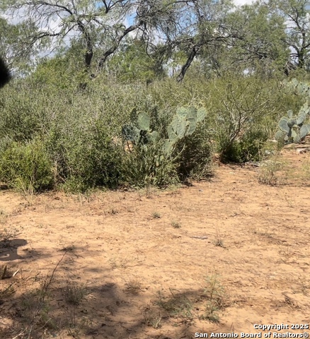 Image 9 of 10 For 5440 Tabberer