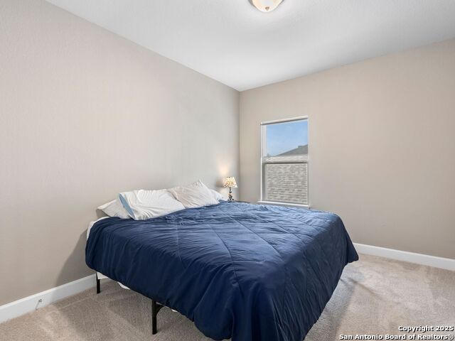 Image 23 of 28 For 323 Sugarcane