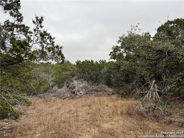 Details for 713 Stagecoach, Spring Branch, TX 78070