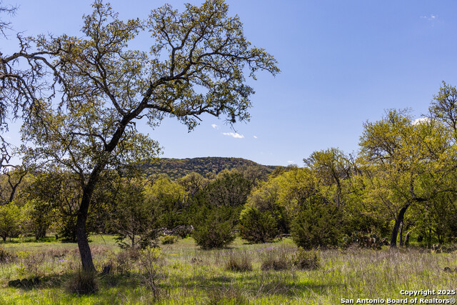 Details for 0 Hwy2107  , Medina, TX 78055