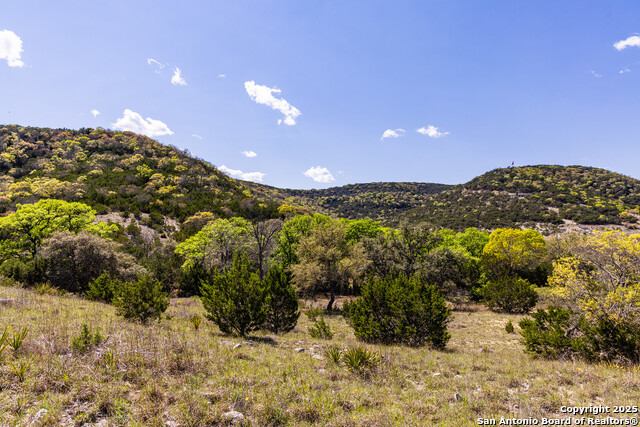 Image 11 of 23 For 0 Hwy2107  