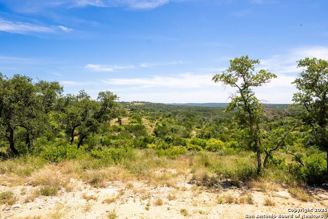 Listing photo id 2 for 0 Grand Oaks