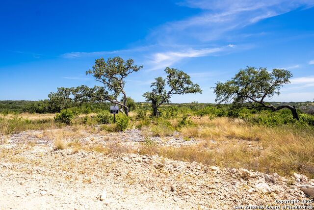 Listing photo id 3 for 0 Grand Oaks