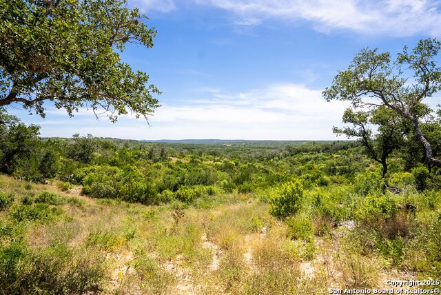 Listing photo id 4 for 0 Grand Oaks