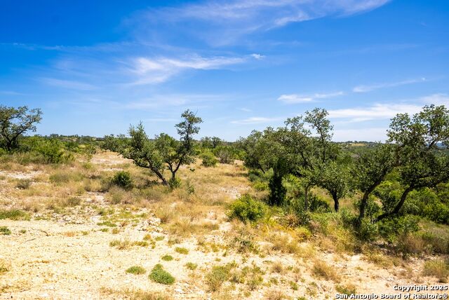 Listing photo id 6 for 0 Grand Oaks
