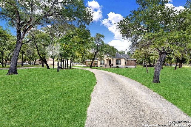 Listing photo id 33 for 162 Champions