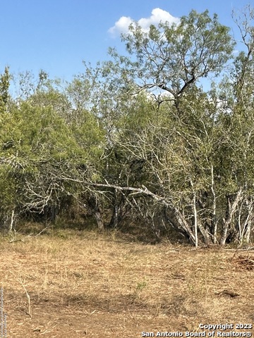 Image 10 of 11 For 5986 Fm 1107 Unit B