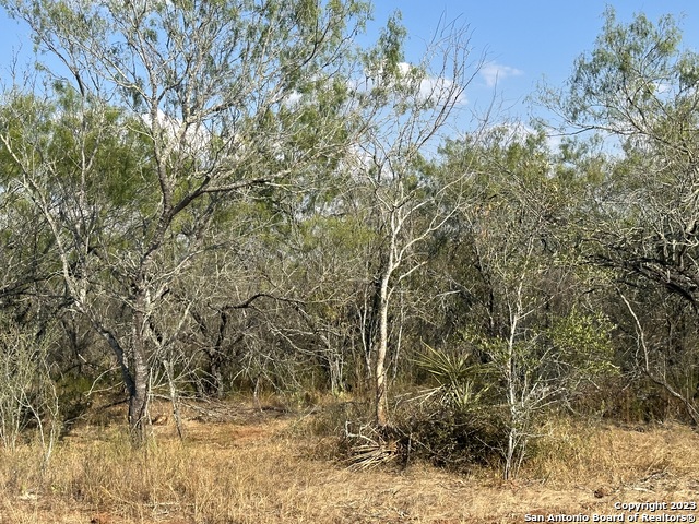 Image 4 of 11 For 5986 Fm 1107 Unit B