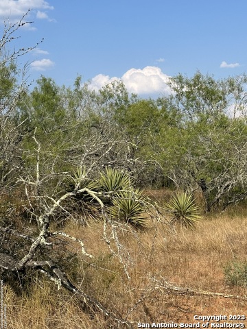 Image 6 of 11 For 5986 Fm 1107 Unit B