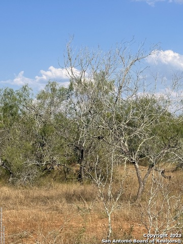 Image 7 of 11 For 5986 Fm 1107 Unit B