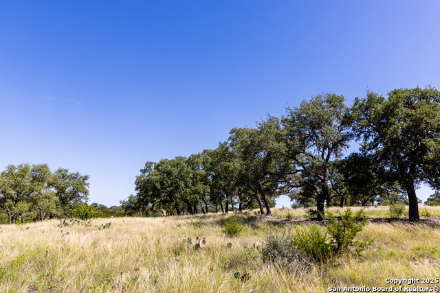 Listing photo id 8 for Lot 151 Loma Vista Ranch