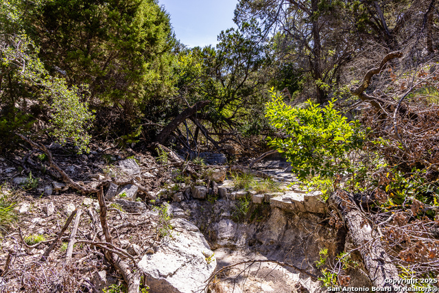 Listing photo id 10 for Lot 151 Loma Vista Ranch