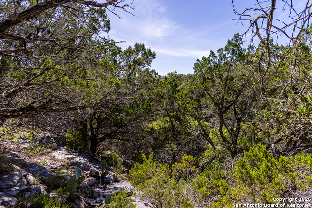 Listing photo id 11 for Lot 151 Loma Vista Ranch