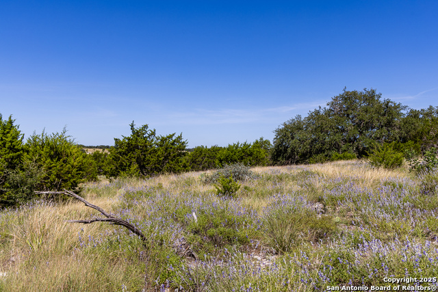 Listing photo id 6 for Lot 151 Loma Vista Ranch