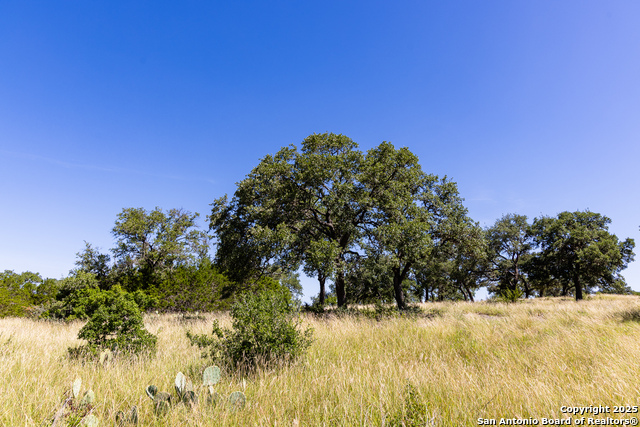 Listing photo id 7 for Lot 151 Loma Vista Ranch