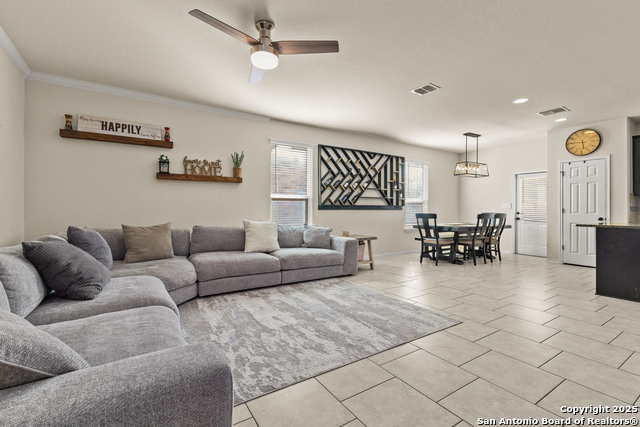 Image 10 of 33 For 1447 Polydora